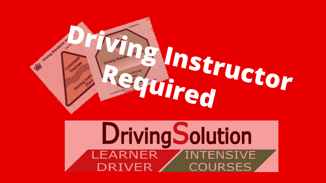 driving instructor franchise